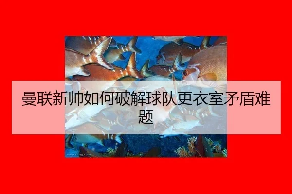 man-lian-xin-shuai-ru-he-po-jie-qiu-dui-geng-yi-shi-mao-dun-nan-ti-2-756.jpg